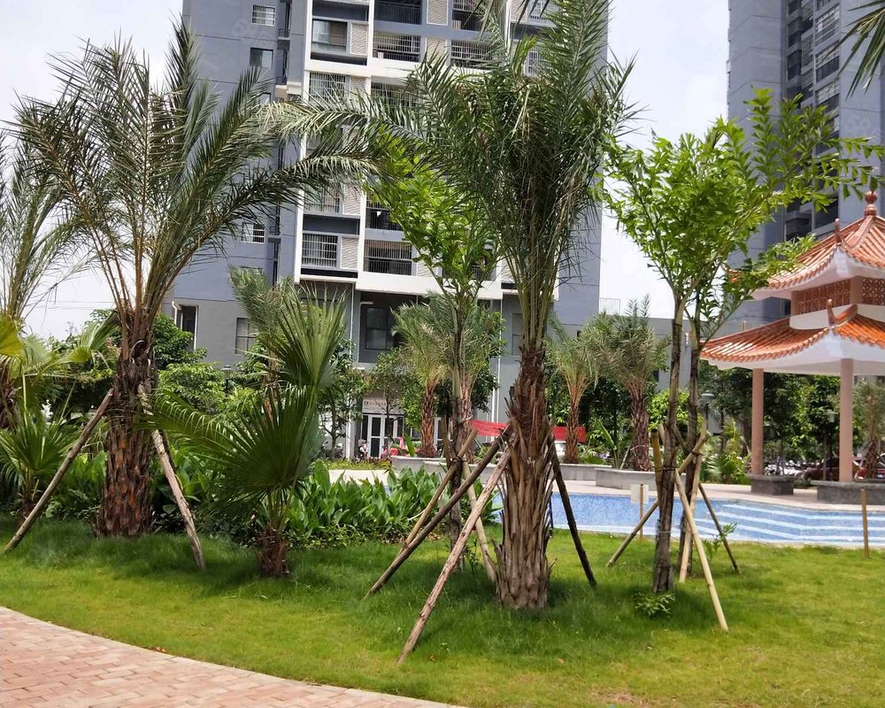 滨江阳光水岸小区详情,房价走势,房源,业主论坛】- 南宁58同城