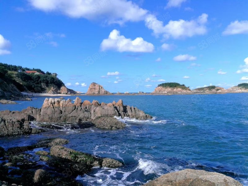 长青海世界(一期)3室2厅1卫88㎡南北51.3万