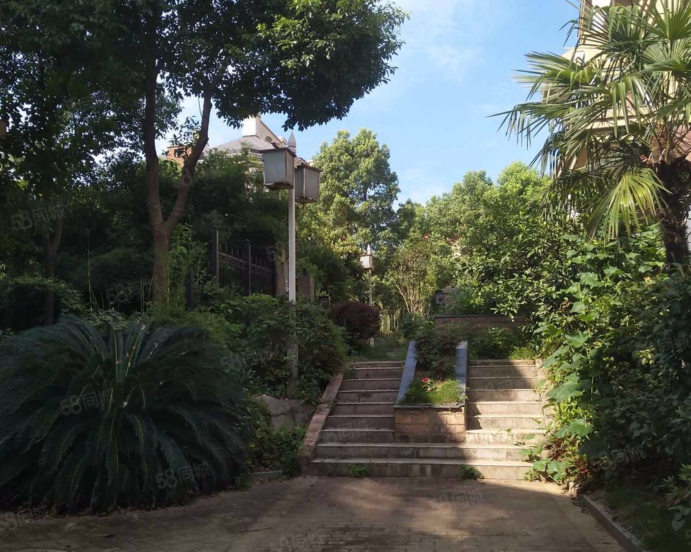 【听涛观海, 听涛观海小区详情,房价走势,房源,业主论坛】- 武汉58