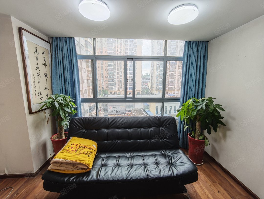 大都会广场1室1厅1卫49㎡南北33.8万