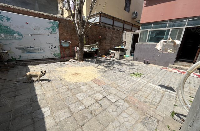 湖北小区别墅区！外贸家属院！一楼带大院子！带配房！