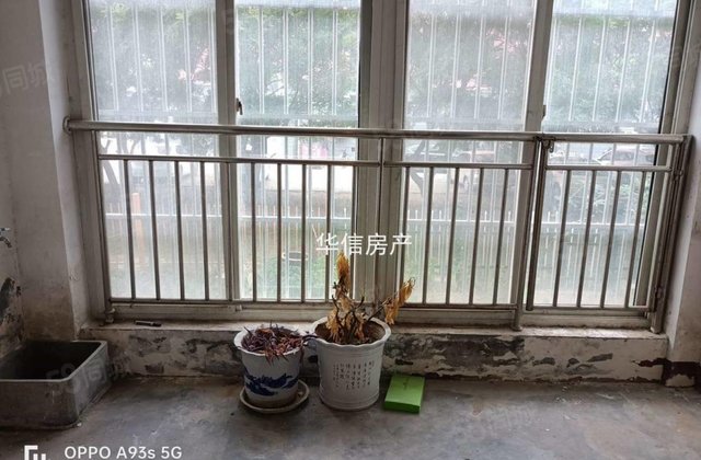 万达旁 金丰苑小区一楼带院子  南北通透 公摊小