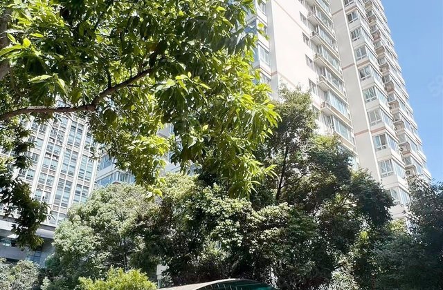 西南电力设计院小区3室2厅137.53㎡258万二手房图片