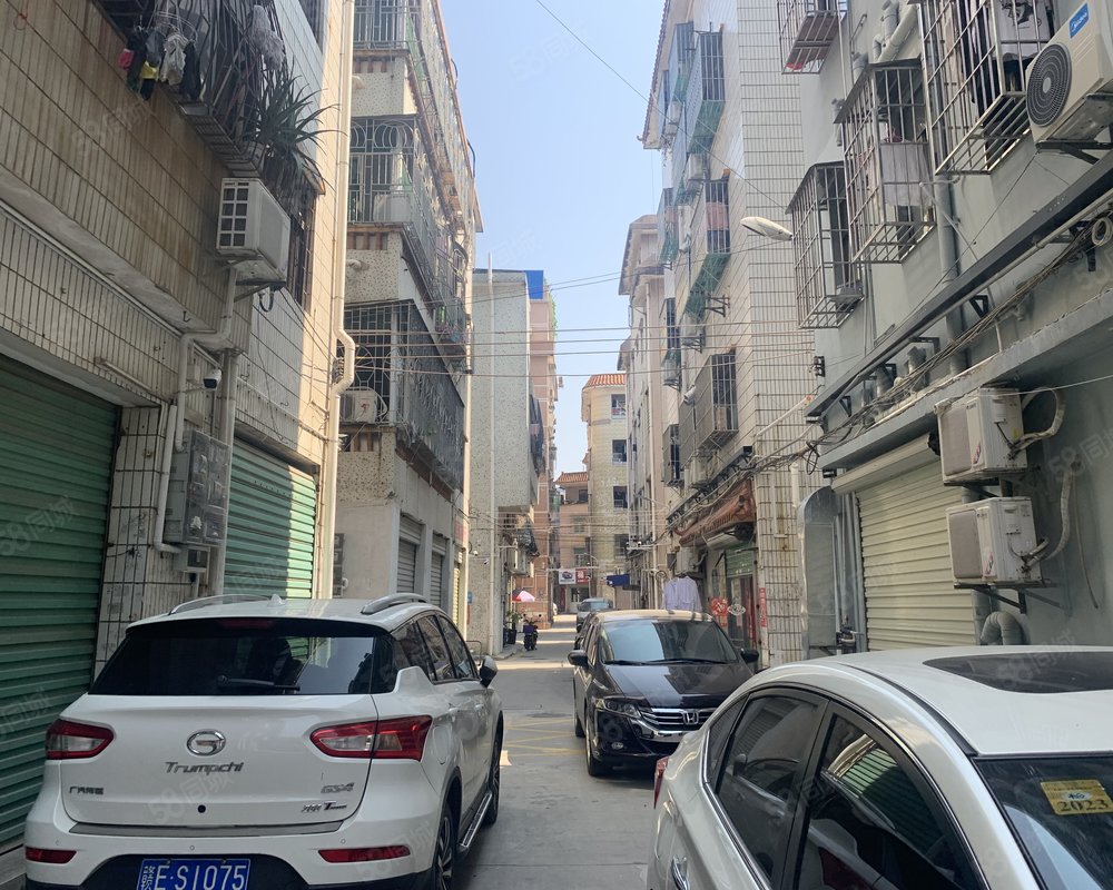 横岗坝心村