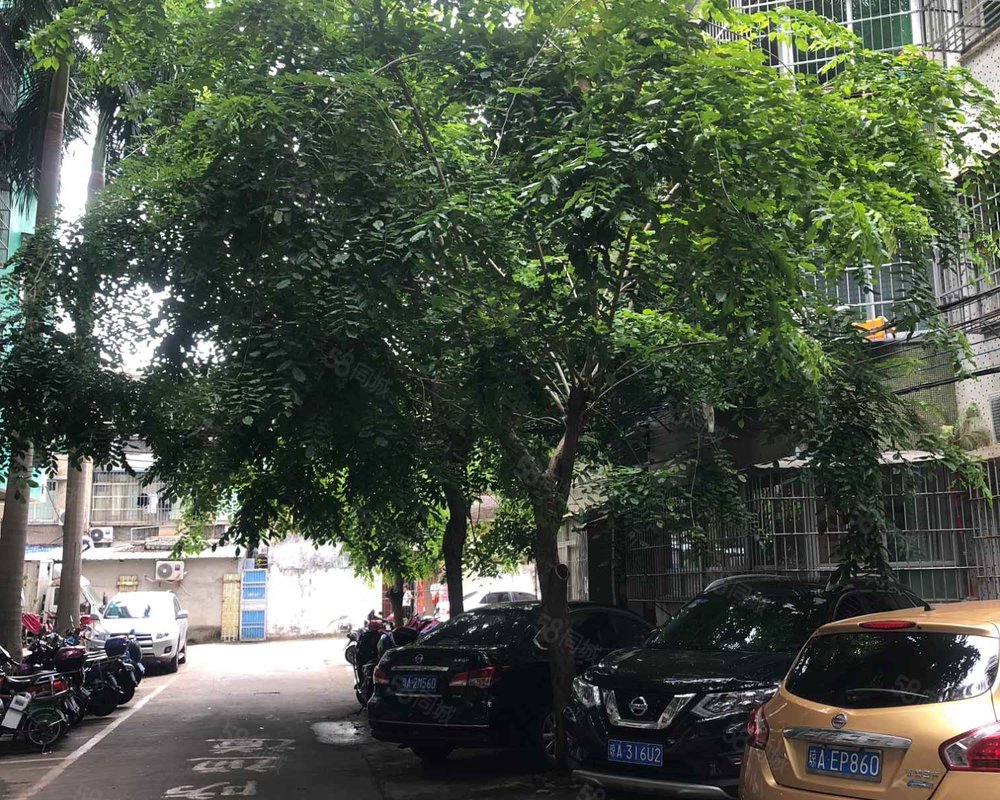 【华侨新村, 华侨新村小区详情,房价走势,房源,业主论坛】- 海口58