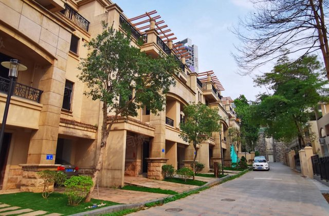 桐林别墅,方正客厅全明户型,加高层三间大主套,拎包入住,广州大道北