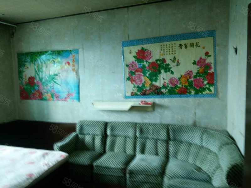 新华小区(庄河)2室1厅1卫77㎡南13万