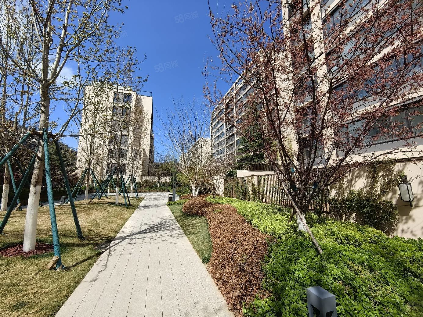 绿城烟台留香园4室2厅2卫142.49㎡南195万