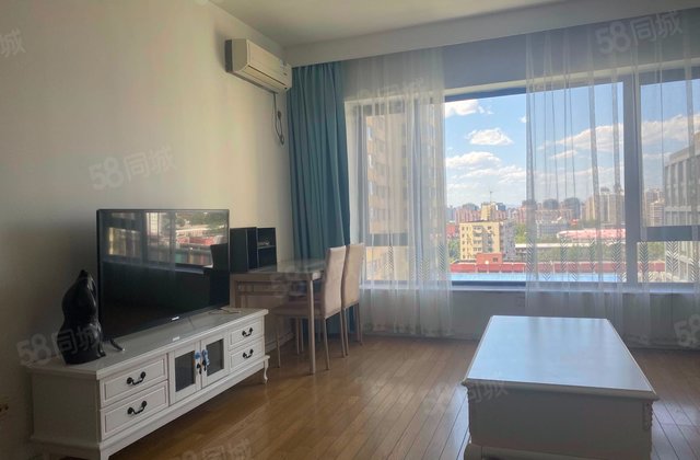 阳光100国际公寓1室1厅48.69㎡308万二手房图片