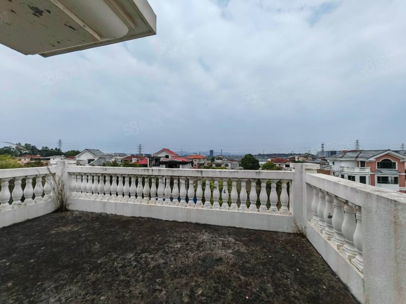 高明碧桂园独立别墅带500方大花园东南向位置靓