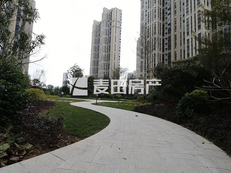 国贸新天地 南北通透 中间楼层 近医院 带电梯 产权清晰