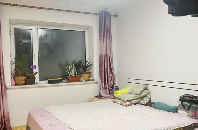 中环十一区(乐亭街)2室1厅52.95㎡15.8万二手房图片