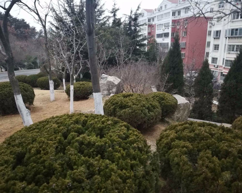 【鸣翠花园, 鸣翠花园小区详情,房价走势,房源,业主论坛】- 威海58