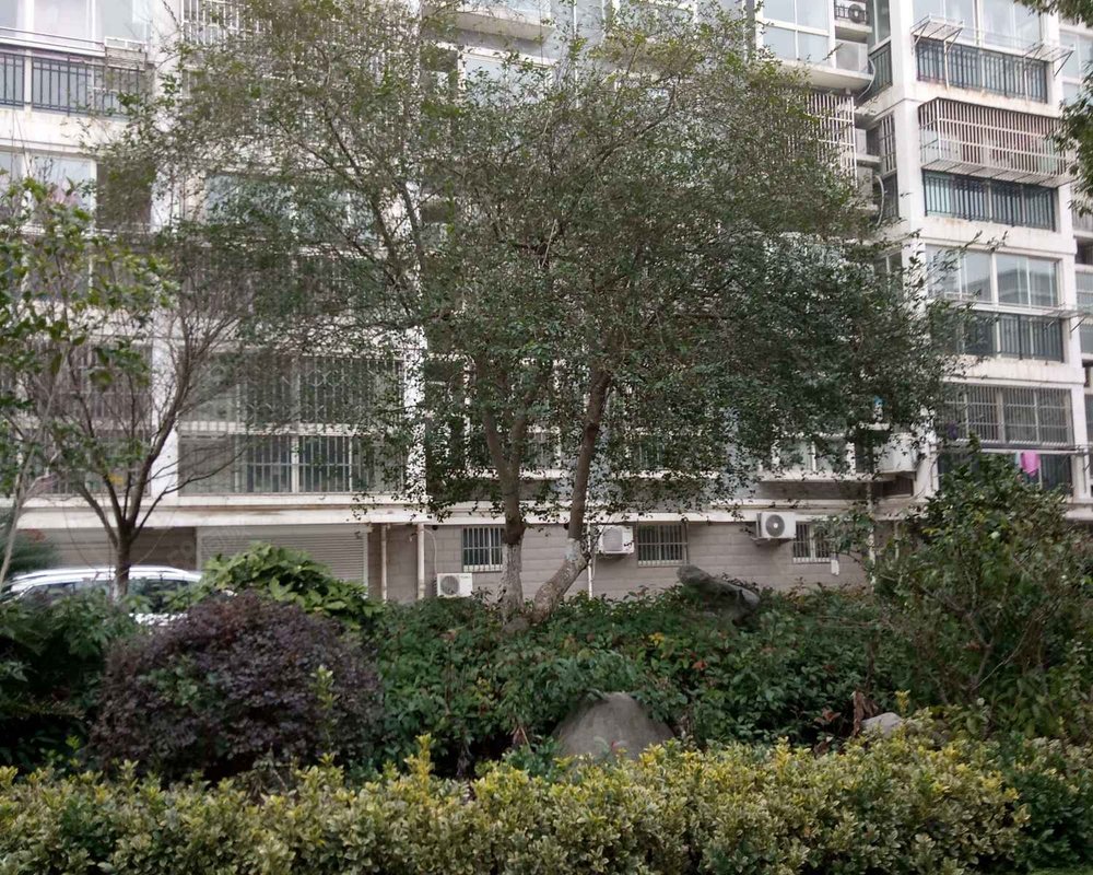 【锦江花园, 锦江花园小区详情,房价走势,房源,业主论坛】- 泰州58