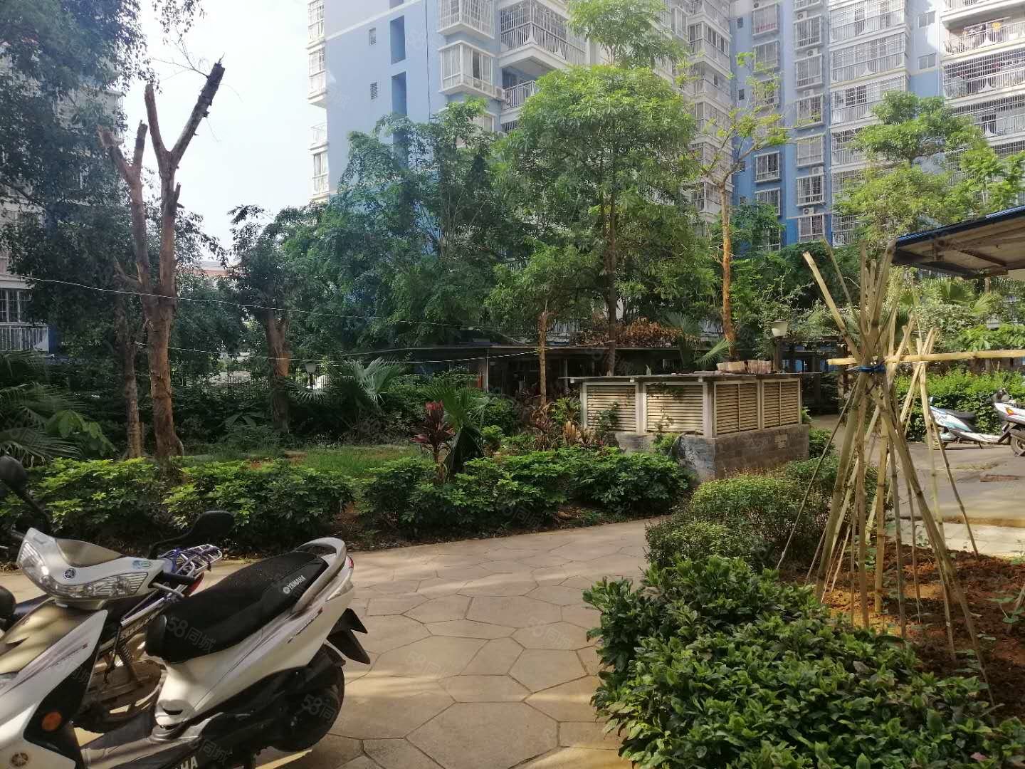 西双版纳房产信息 西双版纳二手房 景洪二手房 龙舟广场二手房 花伴里