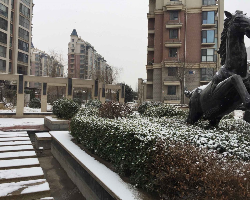 【名尚国际, 名尚国际小区详情,房价走势,房源,业主论坛】- 淄博58