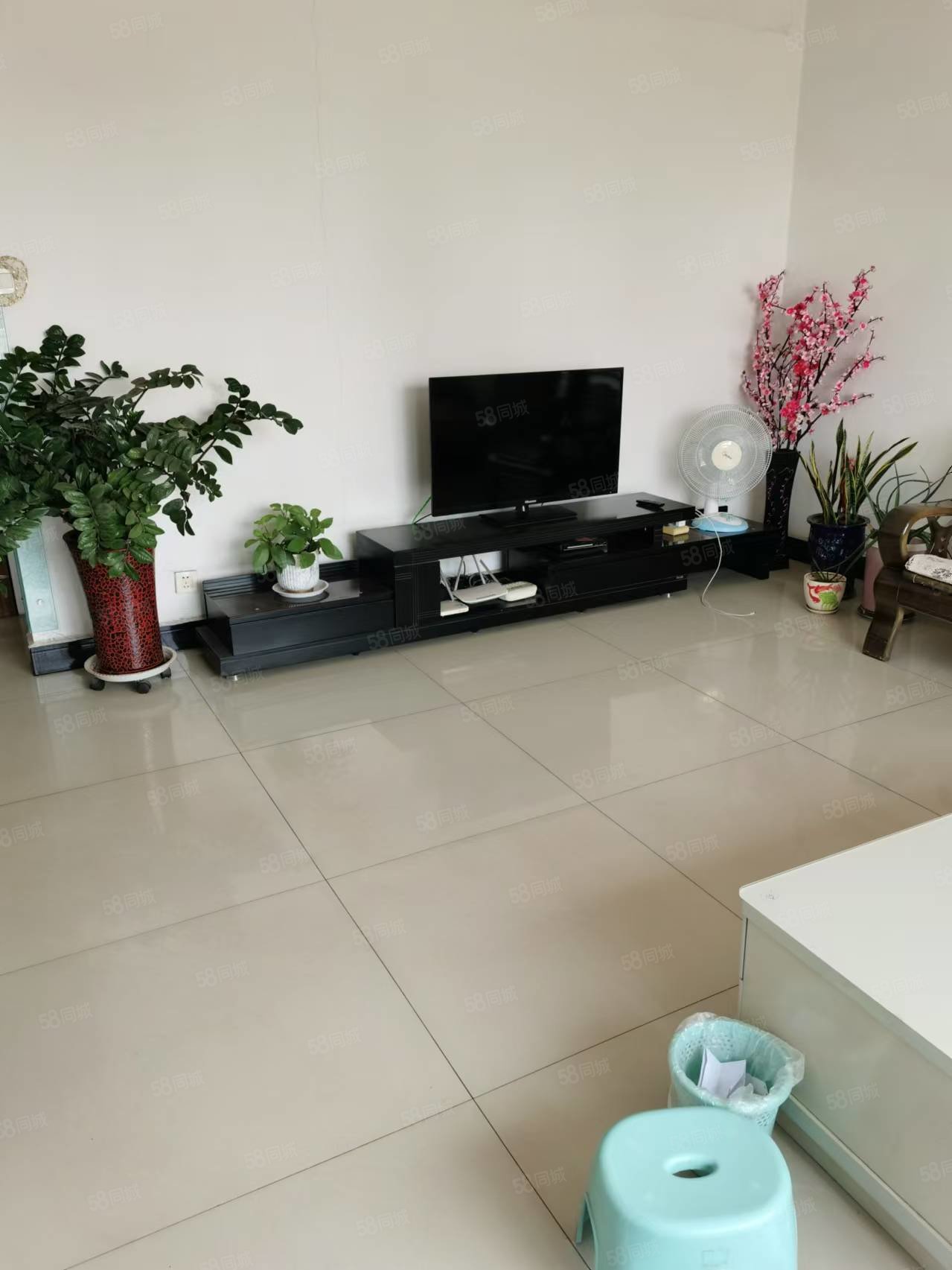 博泰佳苑2室1厅1卫99㎡南北49万