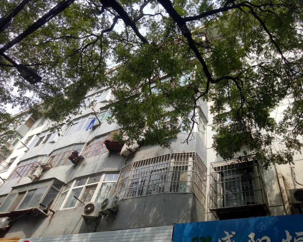 【毕塬路小区, 毕塬路小区小区详情,房价走势,房源,业主论坛】- 咸阳