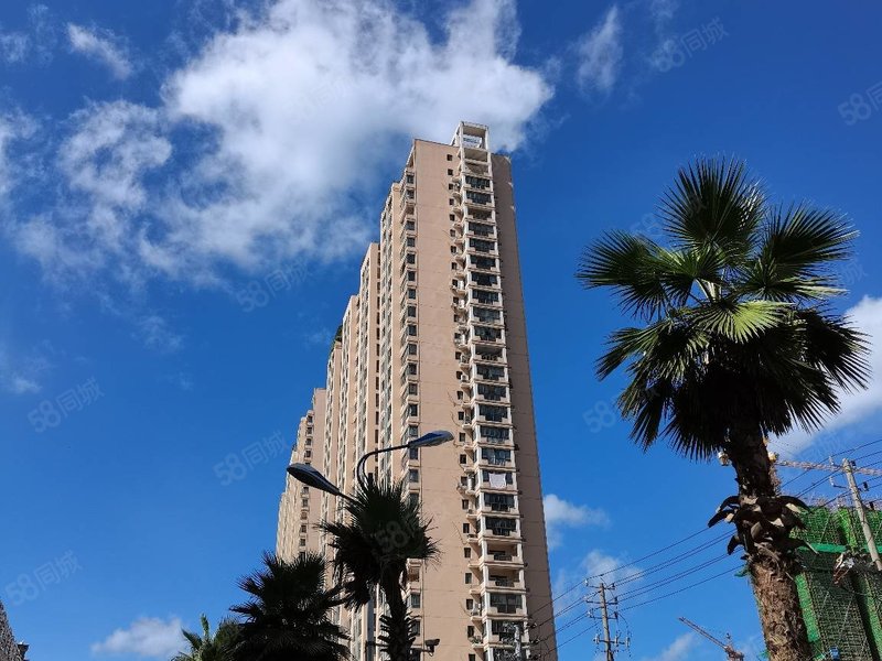 紫荆公寓 精装修 拎包入住 看房随时