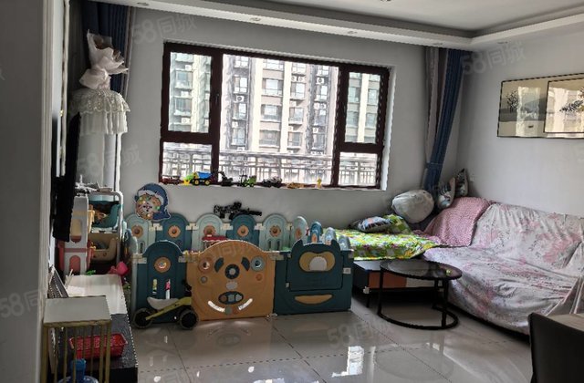 新区政府    实验