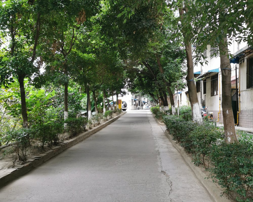 【花果山小区, 花果山小区小区详情,房价走势,房源,业主论坛】- 绵阳