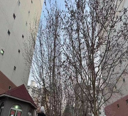 城南嘉园益城园3室2厅112.41㎡386万二手房图片