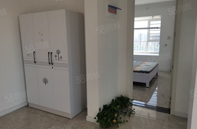 星光云创中心3室2厅1卫精装修设施齐全价格低，低价急售！！！