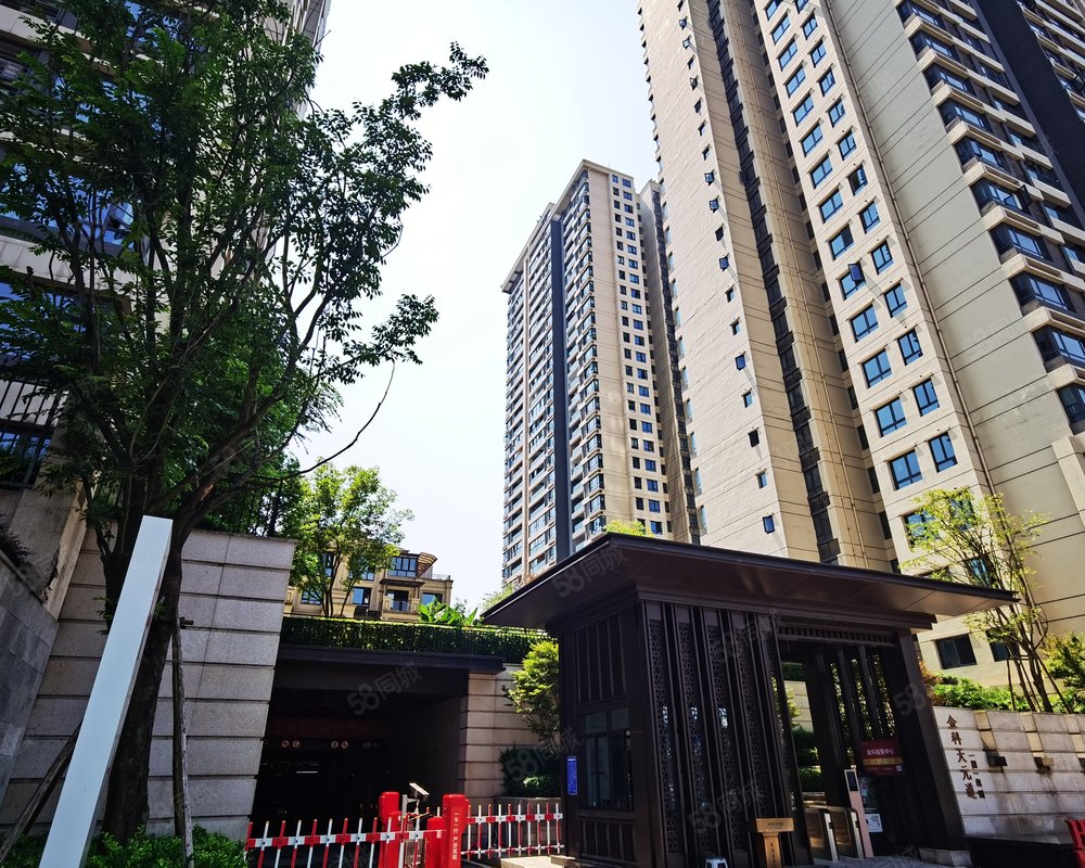 金科天元道一期一组团