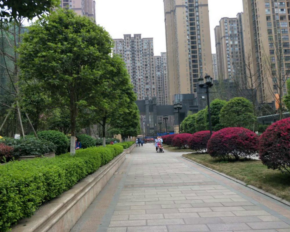 【锦龙名苑, 锦龙名苑小区详情,房价走势,房源,业主论坛】- 深圳58