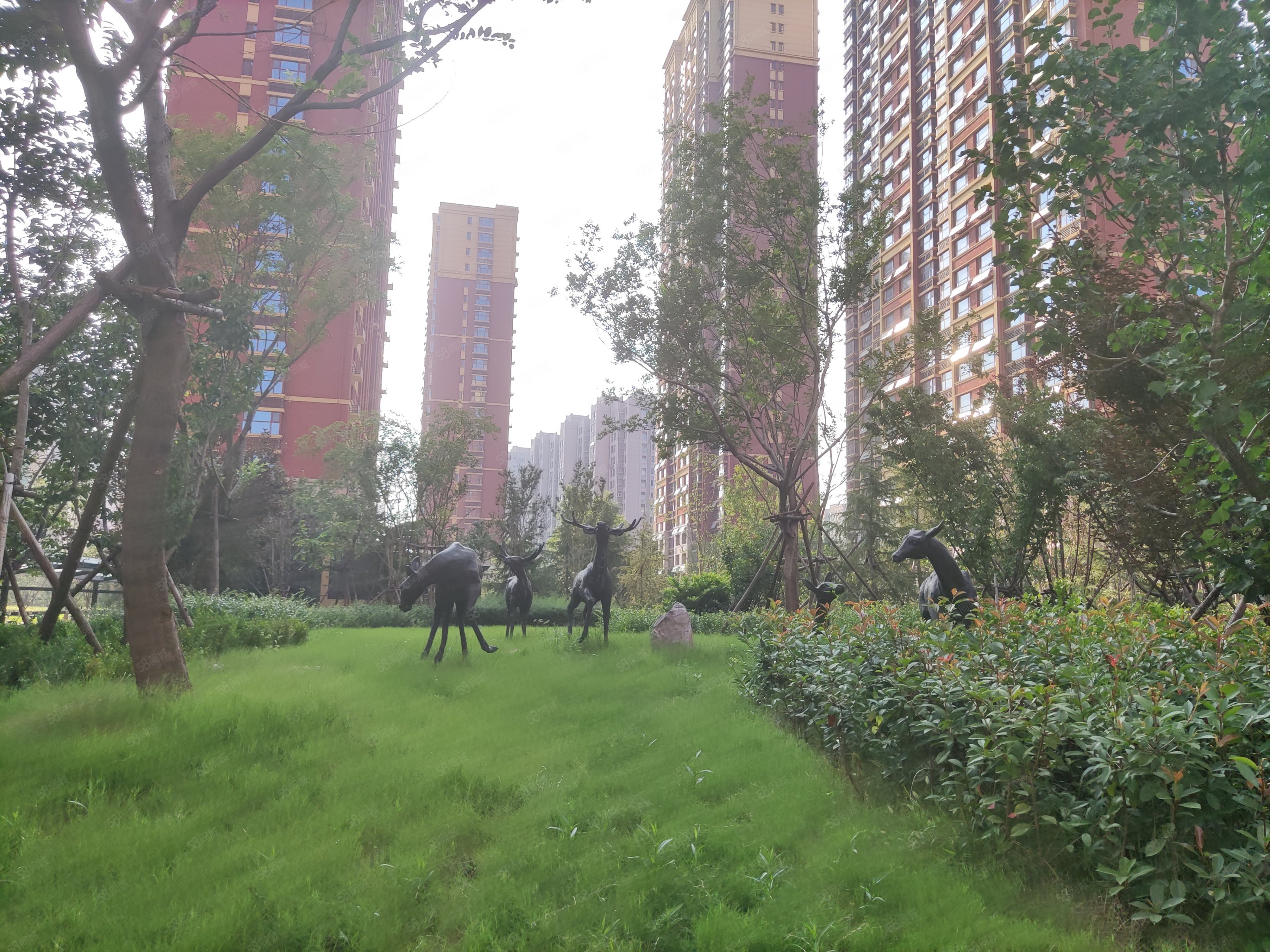 精装免大税 泰师附校 迎胜 蟠龙湖 新体育场,开元盛世硕园(a区)-泰安