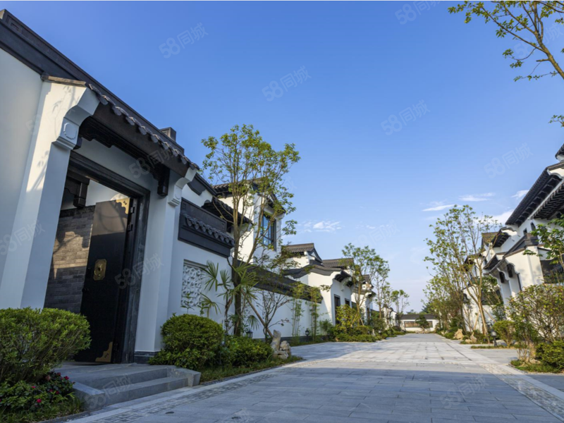 青城山江南风格中式大花园别墅