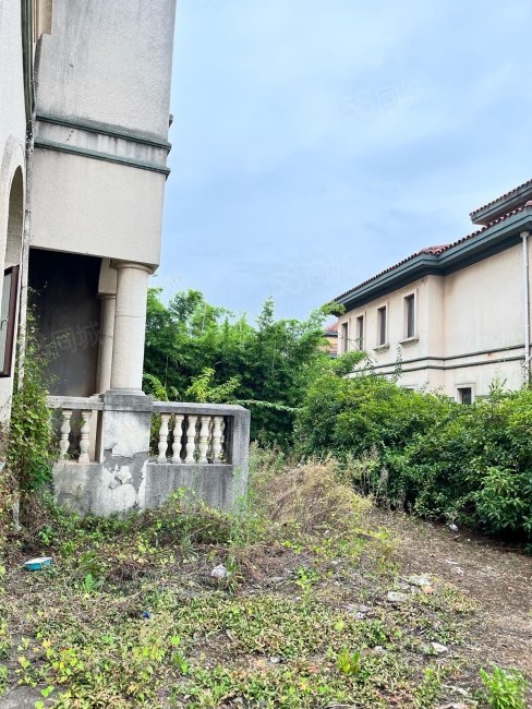 仙湖别墅6室2厅3卫288.33㎡南99.98万