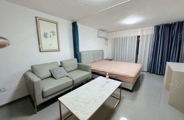 振兴东路 莲湖湾精装南向复式公寓 买一层得两层