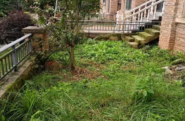 天岛湖国际度假区1室1厅38.35㎡30万二手房图片