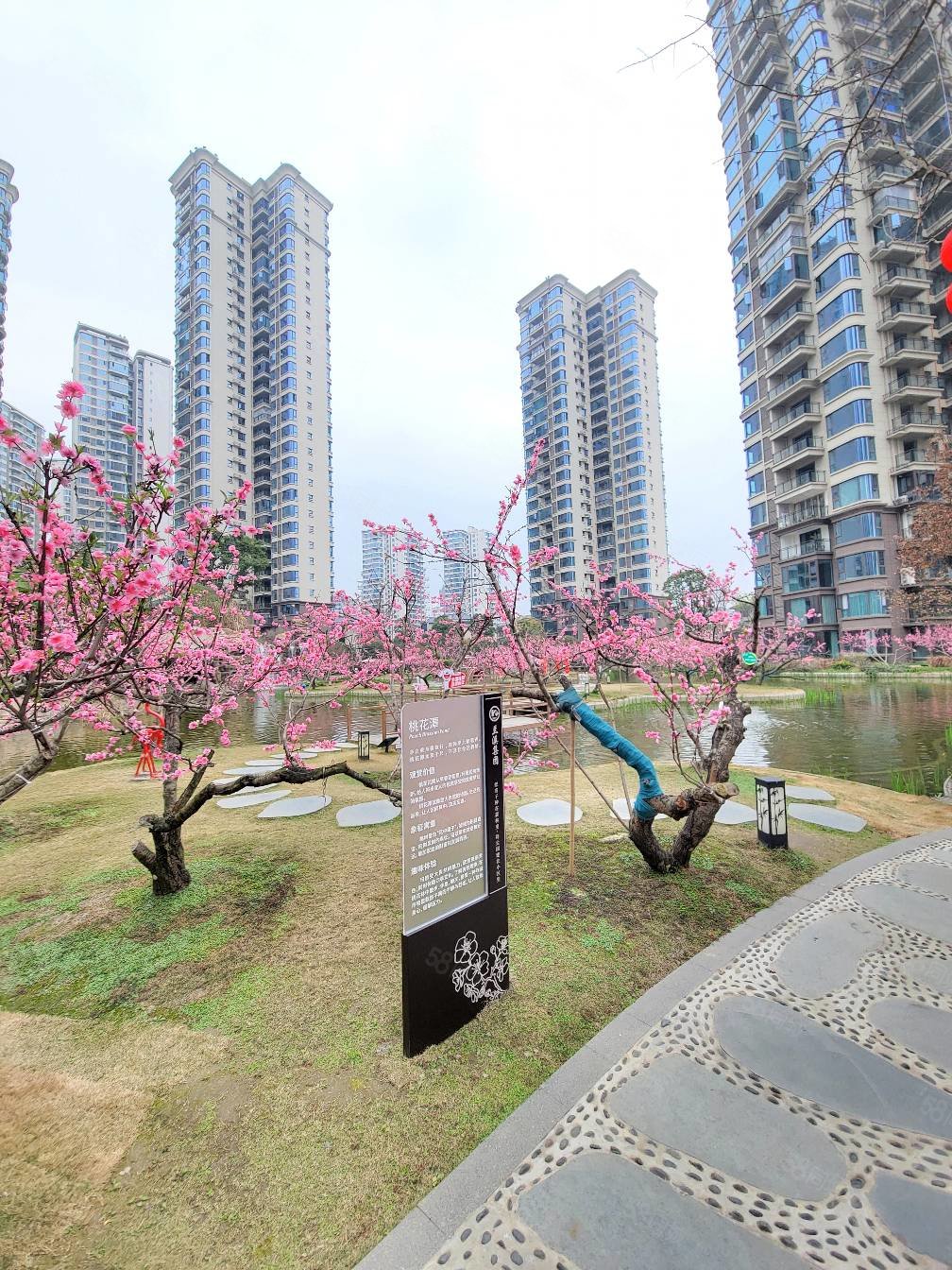 复式空中别墅,森林住宅小区,两梯三户,品质大盘,兰溪江山美邸-眉山58