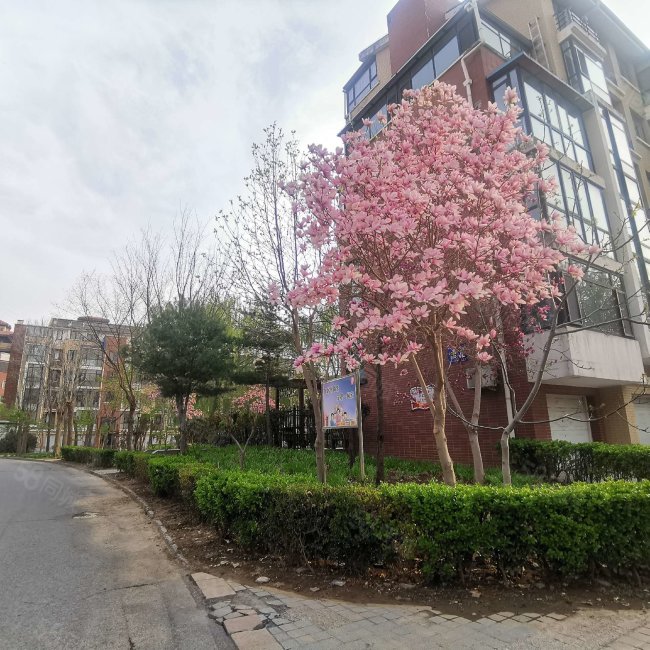 恒盛塞纳河谷4室2厅2卫179㎡南北226万
