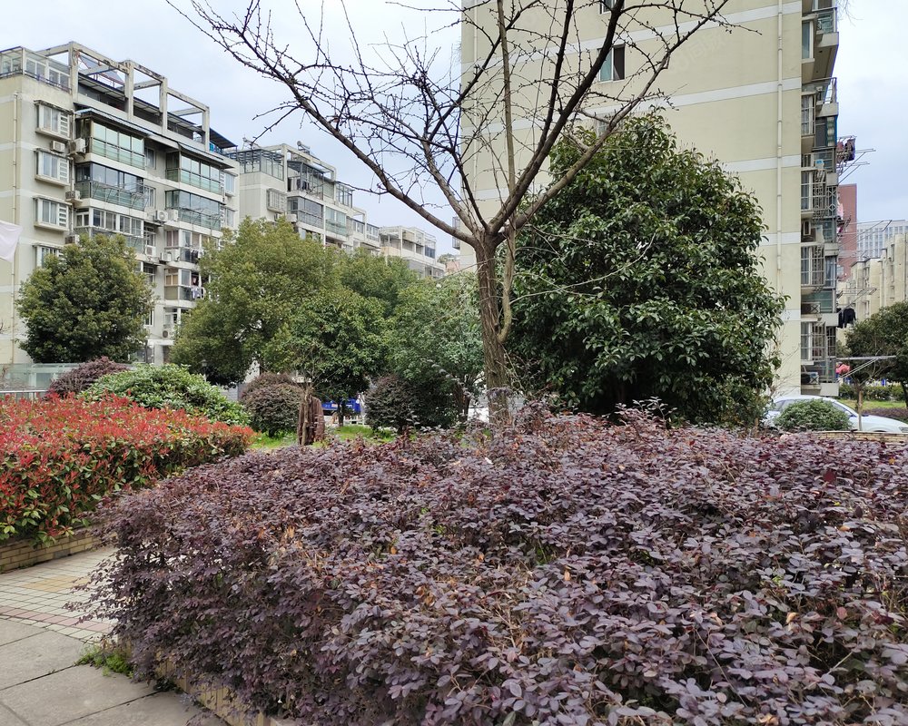 富贵园(弋江)小区详情,房价走势,房源,业主论坛】- 芜湖58同城