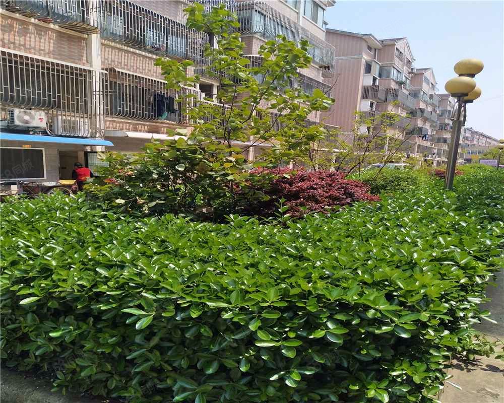 【蠡园, 蠡园小区详情,房价走势,房源,业主论坛】- 无锡58同城