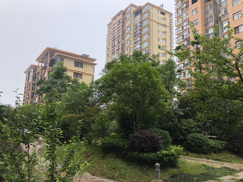 香槟国际5室2厅2卫130㎡南北69.8万