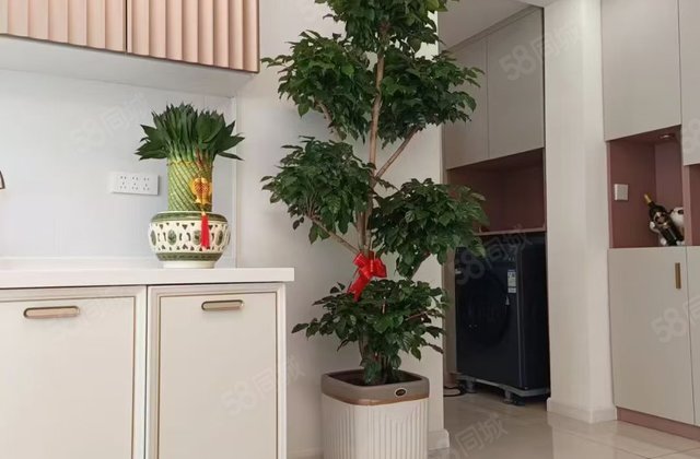 晨安小区1室1厅49㎡18万二手房图片