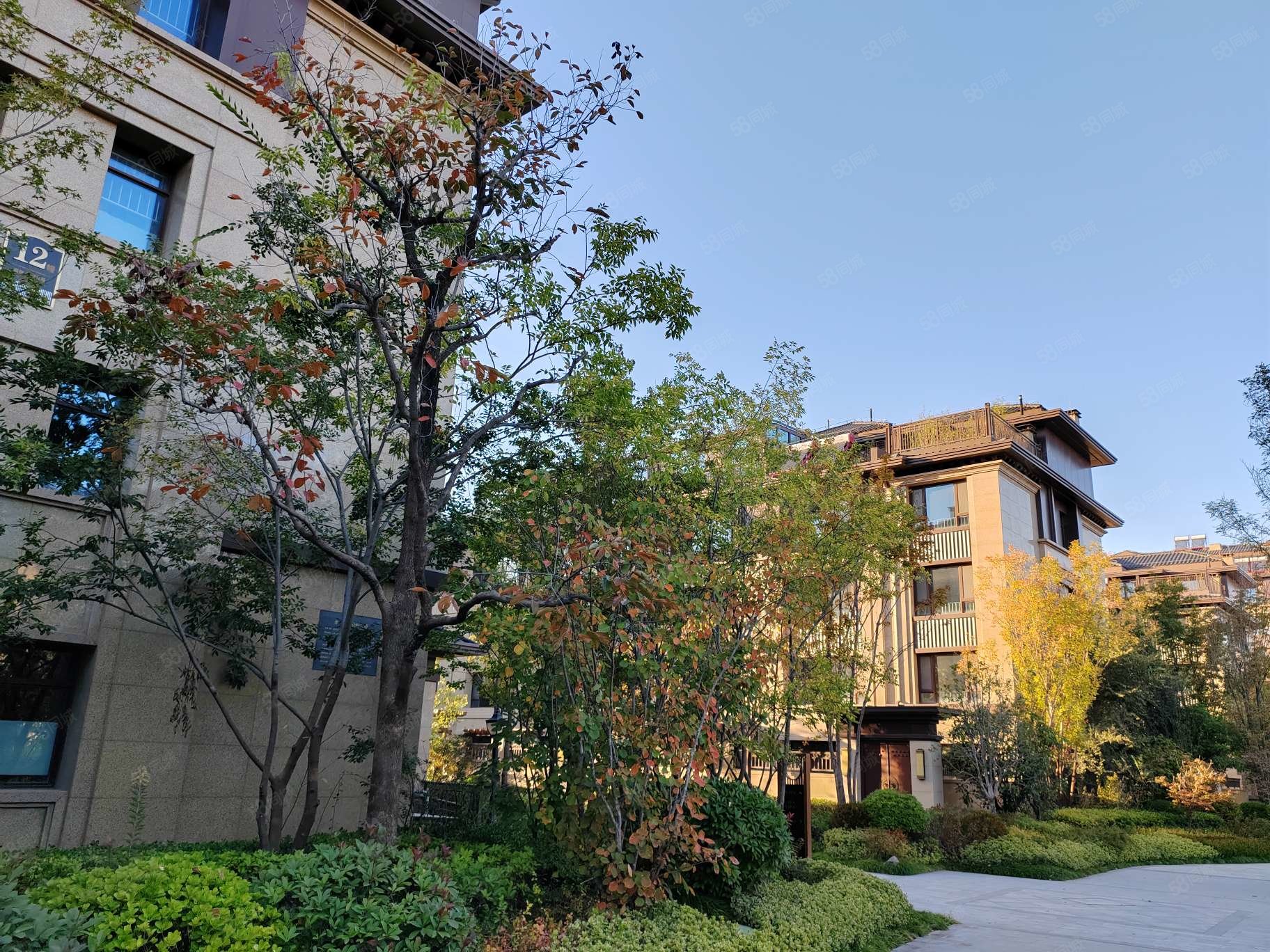 劳斯莱斯户型!看房方便,浞河九号-潍坊58同城