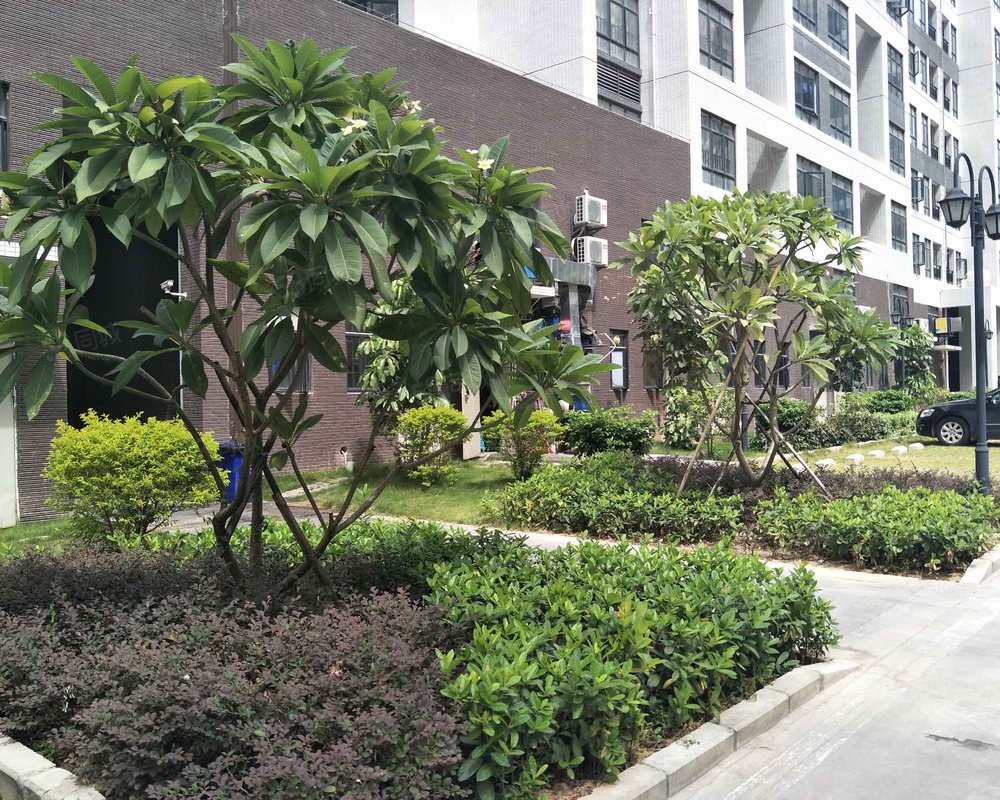 【惠湾花园, 惠湾花园小区详情,房价走势,房源,业主论坛】- 深圳58