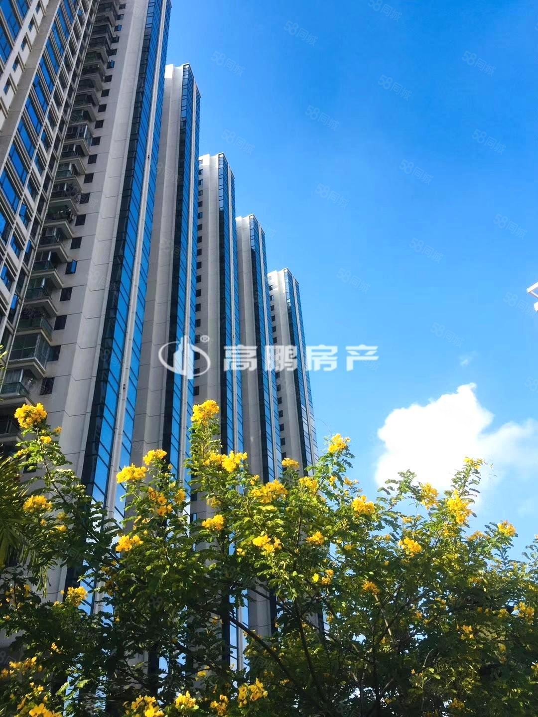 精装三房 两梯两户 高档社区 网红步栈道,国际邮轮城(二期)-厦门58