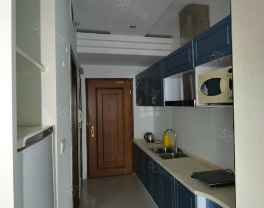 曼哈顿大厦1室0厅49㎡56万二手房图片