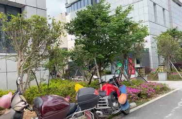 【九龙汇湖景汇欣苑房价走势,九龙汇湖景汇欣苑房屋