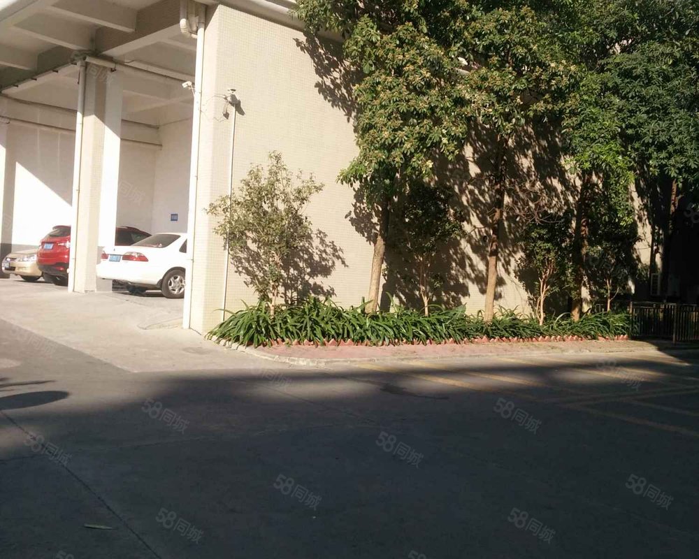 丽欣家园环城路以内