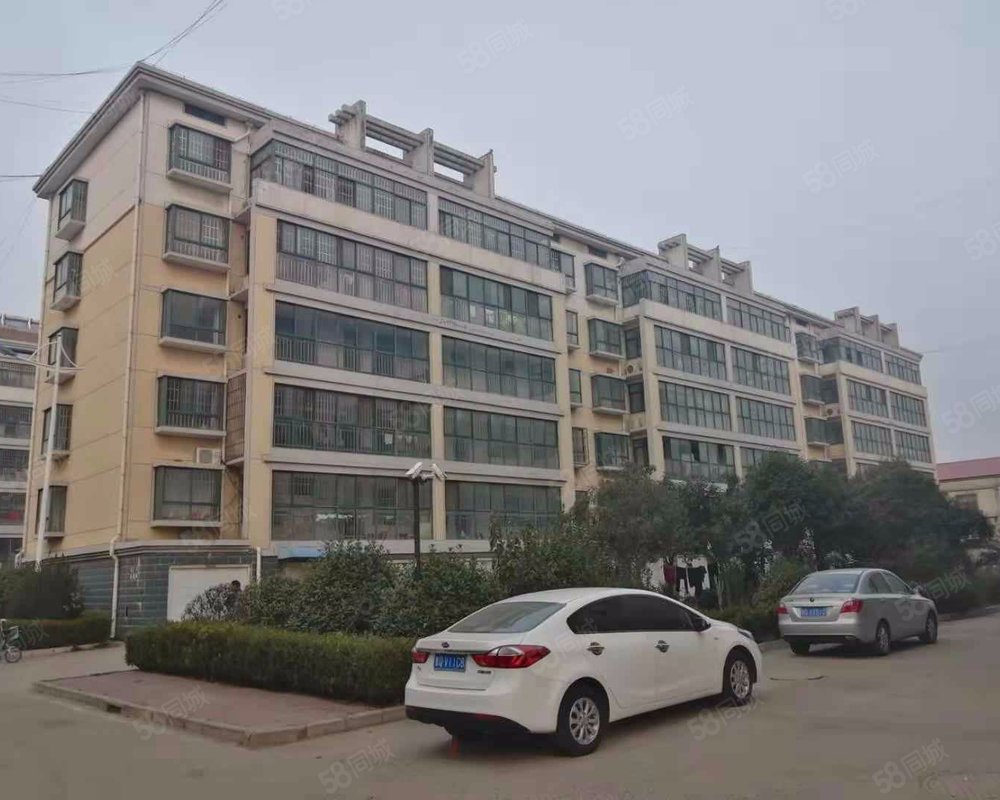 【新城花园(郯城), 新城花园(郯城)小区详情,房价走势,房源,业主论坛