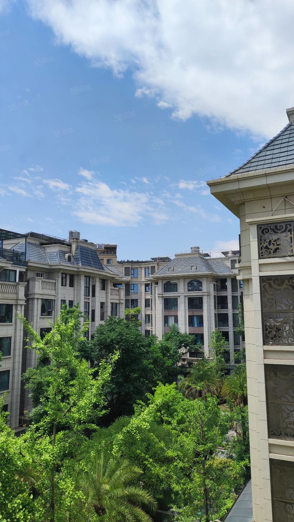 合信南山(别墅)4室3厅3卫116㎡南北175万