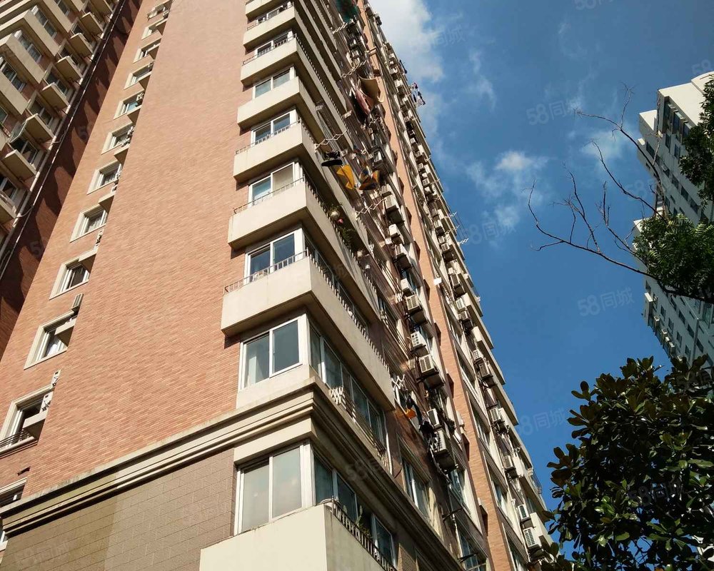 【东新苑, 东新苑小区详情,房价走势,房源,业主论坛】- 上海58同城