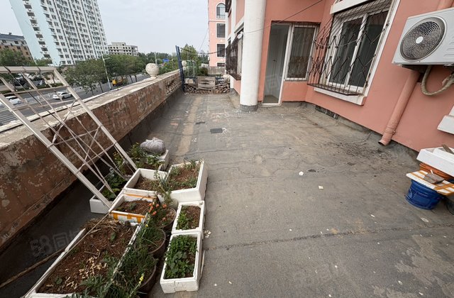 带漏台 阳明      三室 低于市场价 南北透透 诚心诚意